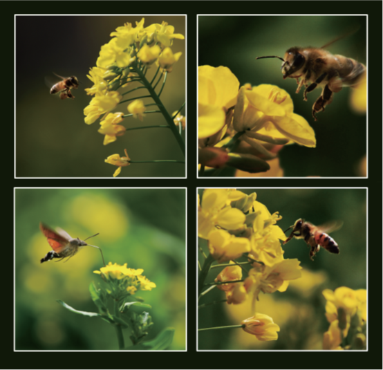 亚游集团·ag8(中国游)官方网站