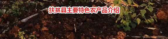 亚游集团·ag8(中国游)官方网站